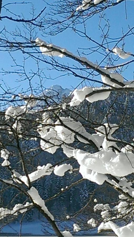 Fw Weissensee 44 Fussen Luaran gambar