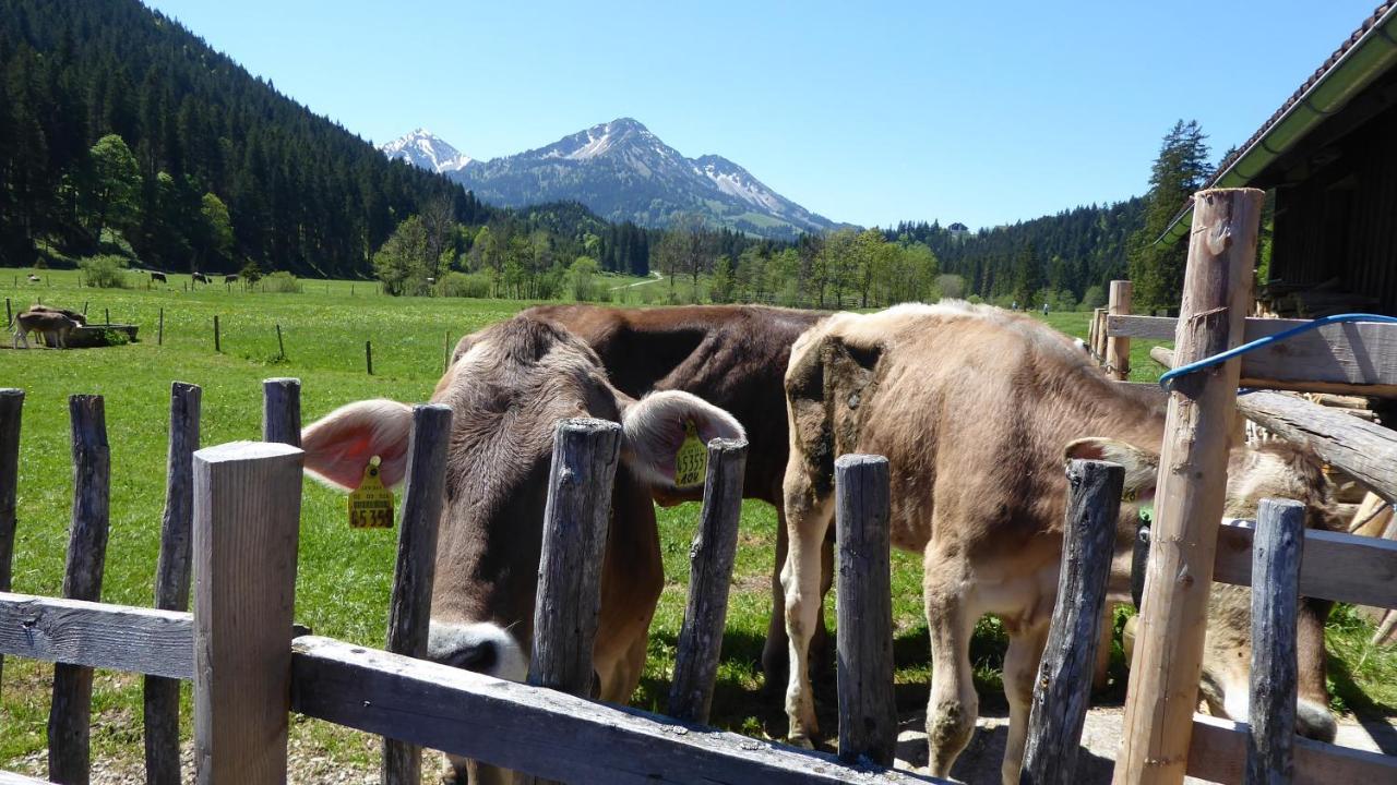 Fw Weissensee 44 Fussen Luaran gambar