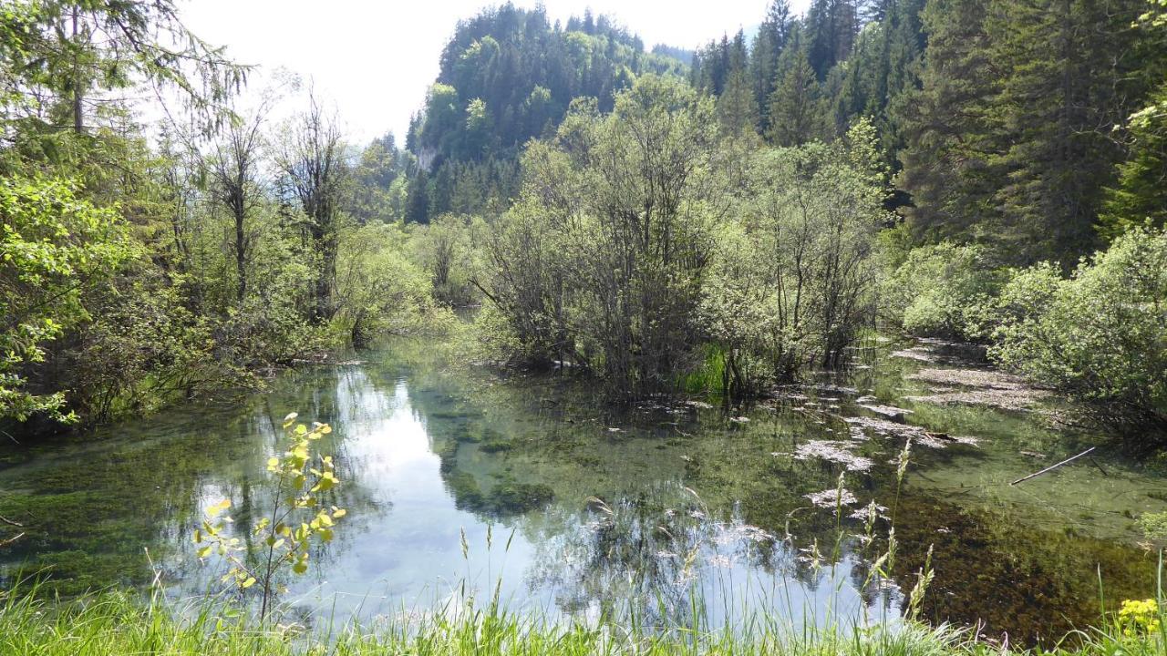 Fw Weissensee 44 Fussen Luaran gambar