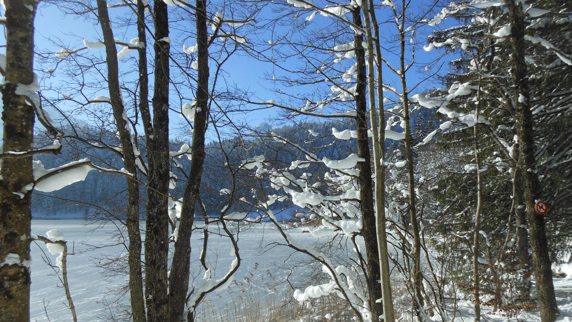 Fw Weissensee 44 Fussen Luaran gambar